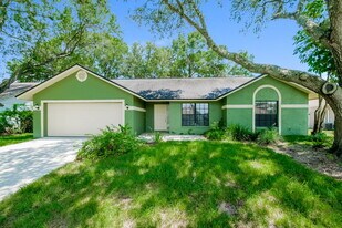 1621 Dusty Rose Ln in Brandon, FL - Building Photo