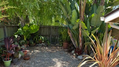 7226 Tuolumne Dr, Unit Paradise Studio in Goleta, CA - Building Photo - Building Photo