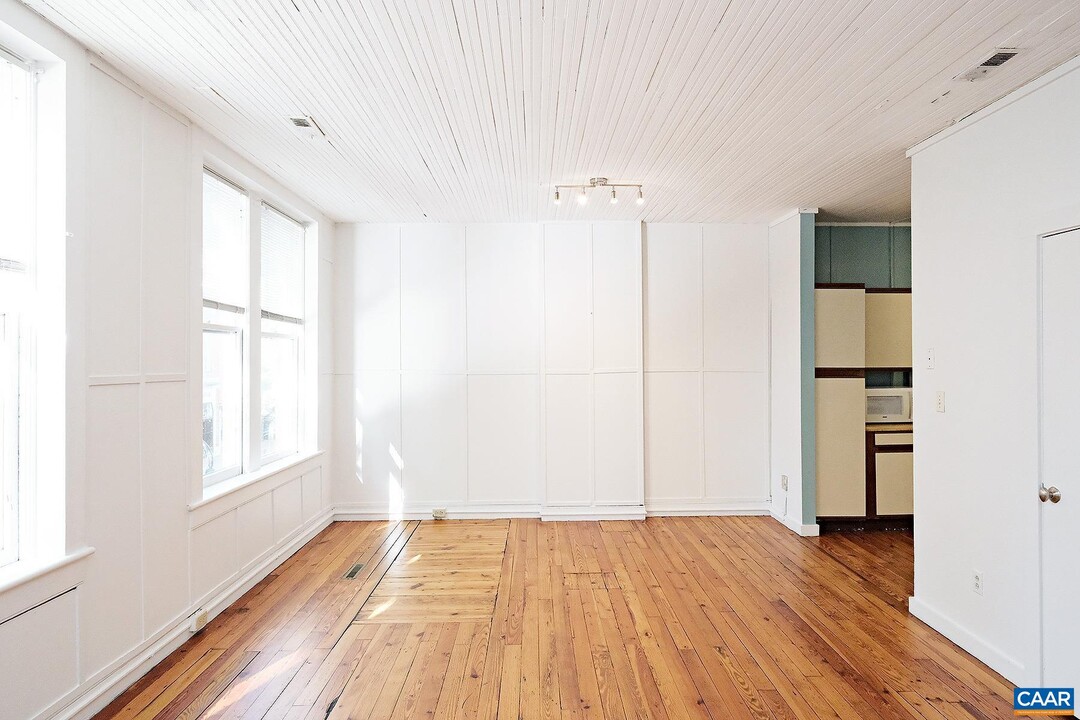 313 E Main St in Charlottesville, VA - Building Photo