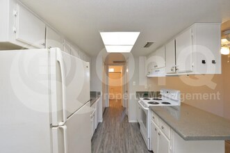 3004 E Waltann Ln in Phoenix, AZ - Foto de edificio - Building Photo