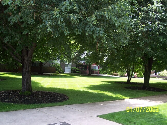 property at 64 Main St