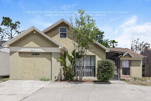 8512 Misty River Ct in Tampa, FL - Building Photo