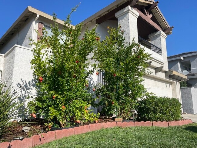 5311 Delta Dr in Rocklin, CA - Building Photo - Building Photo