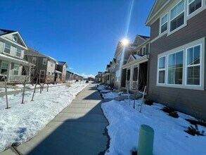 1547 Quest Aly in Erie, CO - Building Photo - Building Photo