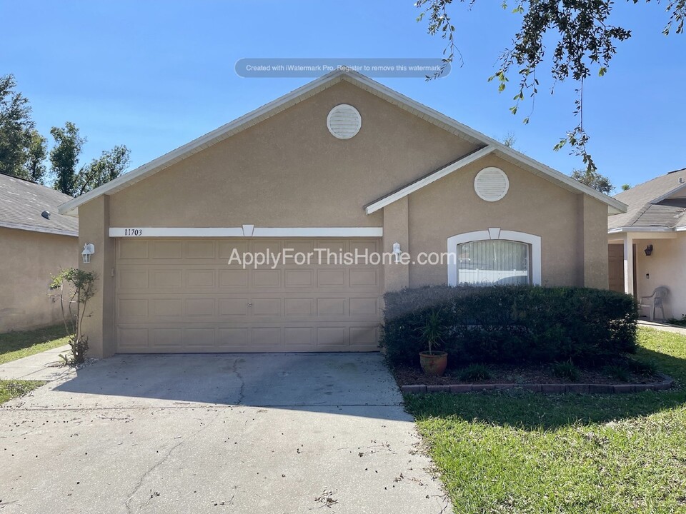 11703 Ivy Flower Loop in Riverview, FL - Foto de edificio