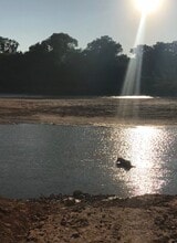 4455 County Rd 127 in Whitesboro, TX - Building Photo - Building Photo