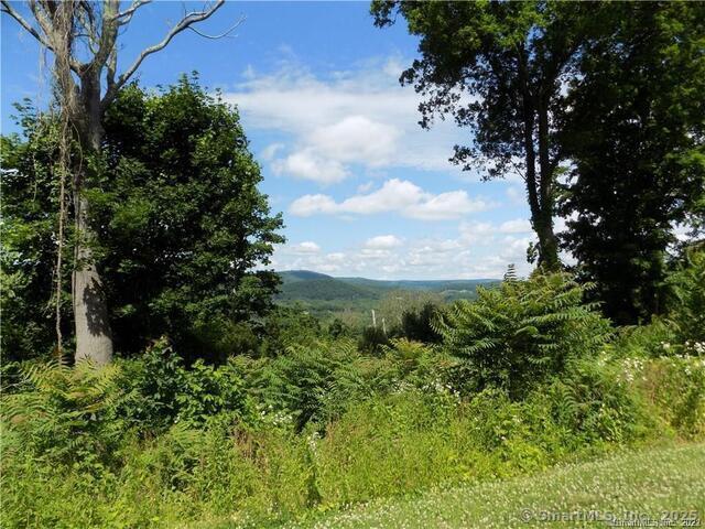 16 Fordyce Ct in New Milford, CT - Building Photo