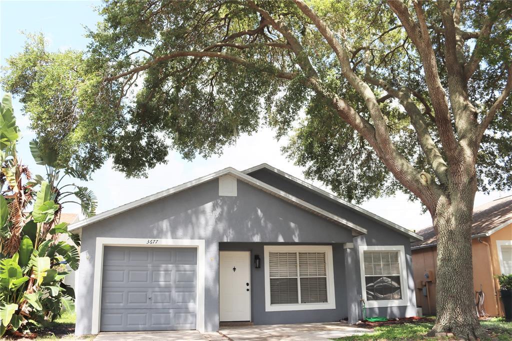 3677 Amelia Way in Palm Harbor, FL - Building Photo