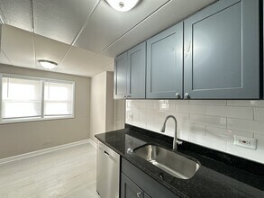 9620 Ivanhoe Ave in Schiller Park, IL - Foto de edificio - Building Photo