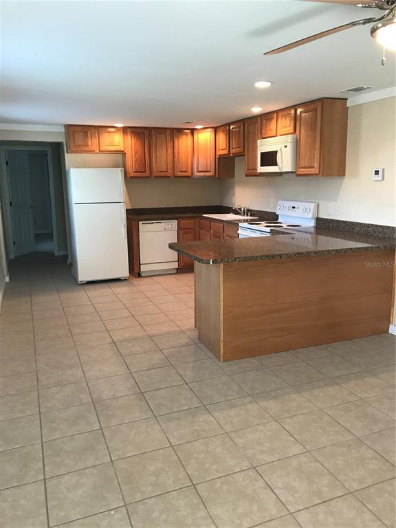 1562 N Tremain St in Mount Dora, FL - Building Photo - Building Photo