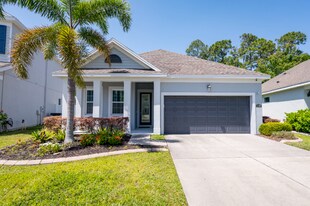 11508 Quiet Forest Dr in Tampa, FL - Building Photo