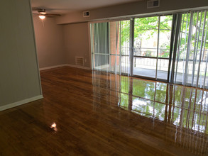 Bloom Apartments II in Richmond, VA - Building Photo - Building Photo