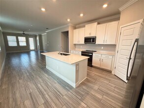 9800 Little Bluestem Dr in Land O Lakes, FL - Building Photo - Building Photo