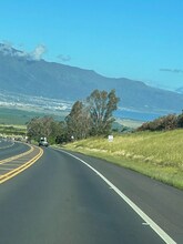 1054 Makawao Ave in Makawao, HI - Building Photo - Building Photo