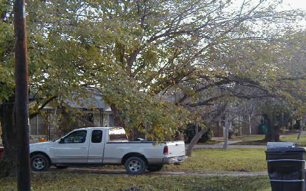 7006 Creedmoor Dr in Austin, TX - Building Photo - Building Photo