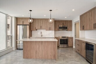 227 E Walton Pl in Chicago, IL - Building Photo - Building Photo