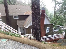 24390 Knoll Cir Dr in Crestline, CA - Building Photo