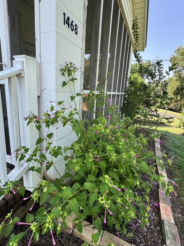 property at 1468 Hilltop St