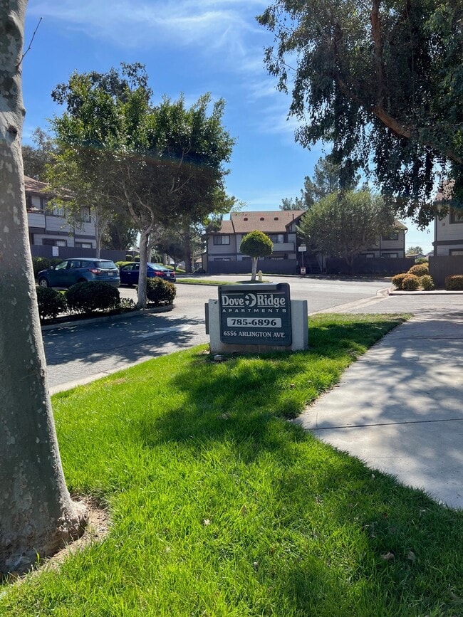 Dove Ridge Apartments