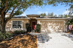 17023 Torvest Ct in Land O Lakes, FL - Building Photo