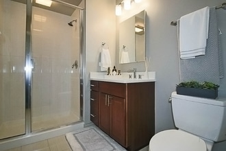 350 E Ohio St in Chicago, IL - Building Photo - Building Photo