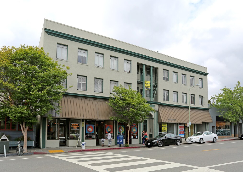 3901-3911 Piedmont Ave in Oakland, CA - Building Photo