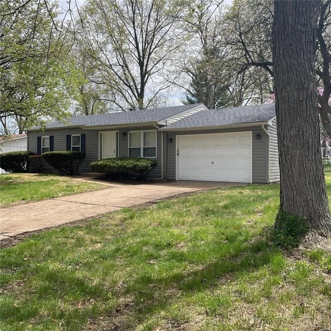 12370 Pinta Dr in St. Louis, MO - Foto de edificio - Building Photo