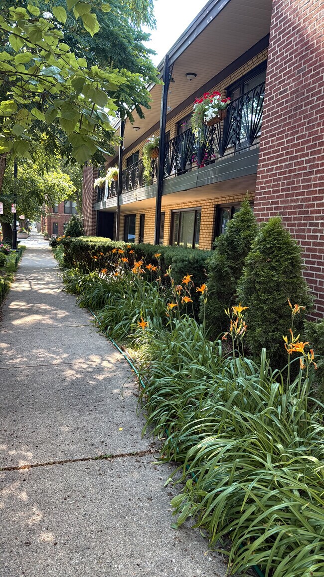 40 Harrison St in Oak Park, IL - Foto de edificio - Building Photo