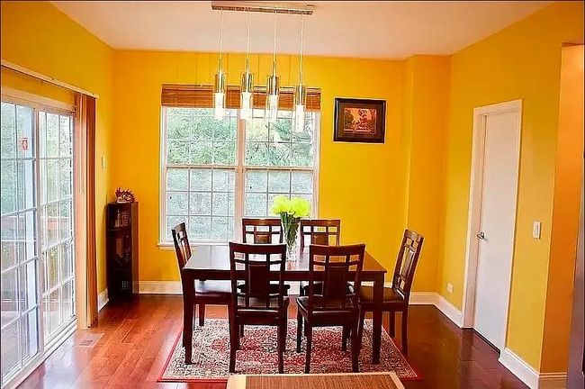 576 Declaration Ln, Unit Unit A in Aurora, IL - Building Photo - Building Photo