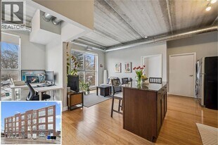 36 Regina St N in Waterloo, ON - Building Photo