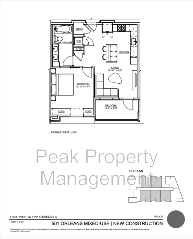 property at 501 Orleans St