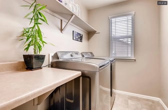 12932 Norway Maple St in Parker, CO - Foto de edificio - Building Photo