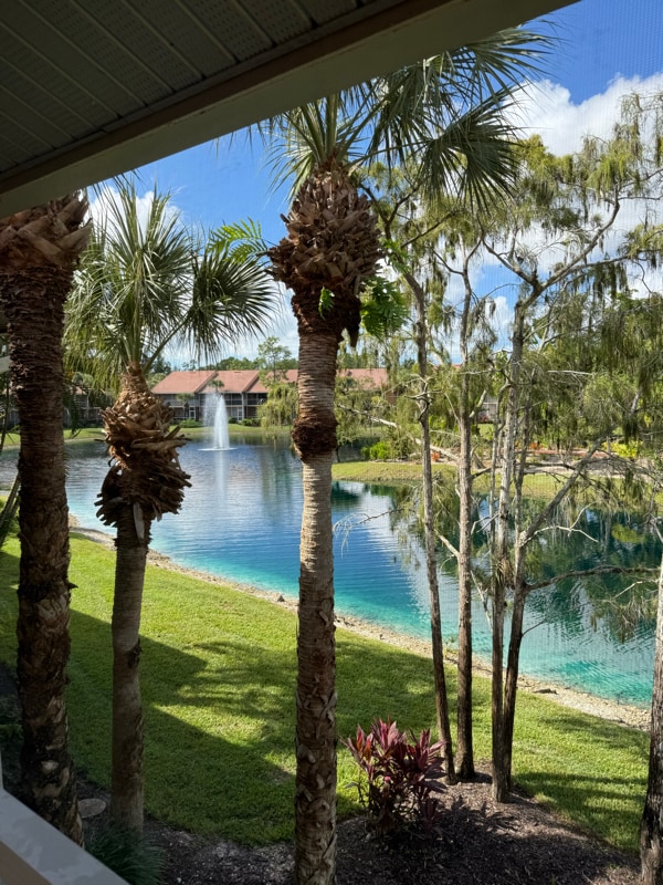 1635 Windy Pines Dr in Naples, FL - Building Photo - Building Photo