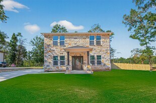10594 Rustling Oaks Dr in Conroe, TX - Building Photo