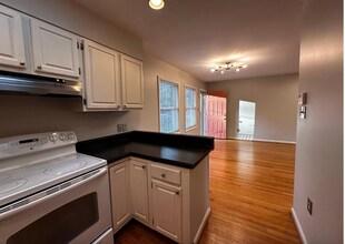 509 Watts St in Durham, NC - Foto de edificio - Building Photo