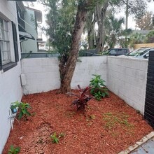 9807 N 52nd St in Tampa, FL - Building Photo - Building Photo