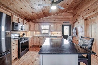 54 Henderson Ln in Mineral Bluff, GA - Building Photo - Building Photo