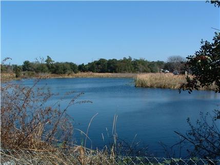 914 S Highway 17 92 in Davenport, FL - Building Photo - Other