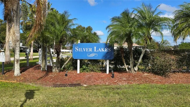 21547 Silver Bay Pl in Land O Lakes, FL - Foto de edificio - Building Photo