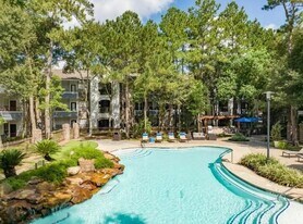 7575 Gosling Rd, Unit UNIT # 0717 in Spring, TX - Building Photo