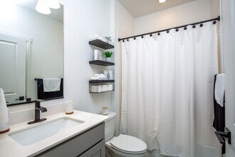 11686 Logans Rdg Dr in Colorado Springs, CO - Building Photo - Building Photo