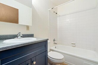 906 Hersinger Pl in Loveland, CO - Building Photo - Building Photo