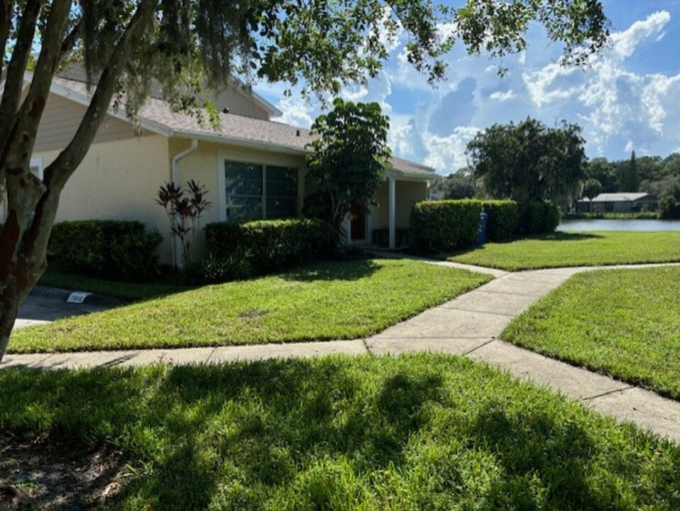 15616 Morning Dr in Lutz, FL - Building Photo