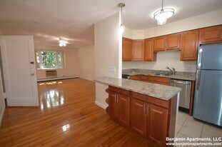59 Parkman St, Unit 1 in Brookline, MA - Building Photo