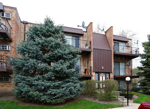 Oak Terrace in Mount Prospect, IL - Building Photo - Primary Photo