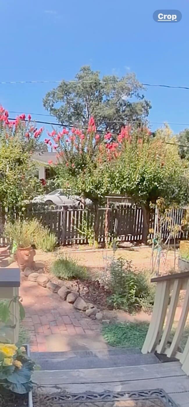 9 Scenic Ave in San Anselmo, CA - Foto de edificio - Building Photo