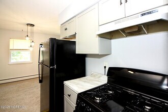 12 Windsor Terrace in Freehold, NJ - Building Photo - Building Photo