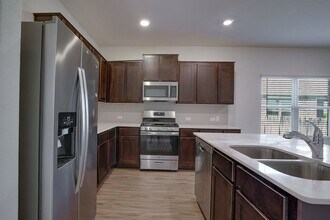 21517 Quick Fox Dr in Pflugerville, TX - Building Photo - Building Photo