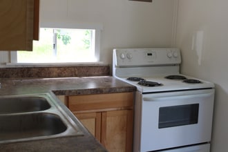 208 Mountain View Dr in Hampton, TN - Building Photo - Building Photo