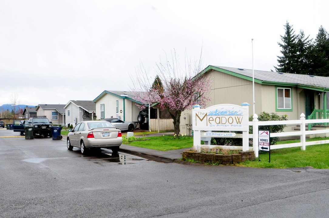 The Meadow on Pitney Pond in Junction City, OR - Building Photo